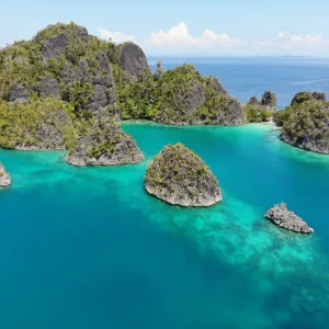Radu în Indonezia