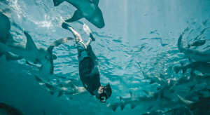 Maldive pe cont propriu: tot ce trebuie să știi înainte să pleci