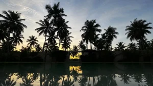 Sri Lanka în ritmul potrivit: plaje, ceai, trenuri și safari