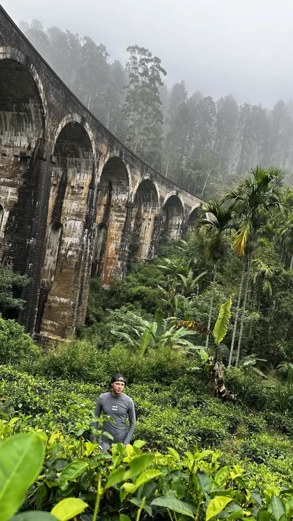Radu în Sri Lanka